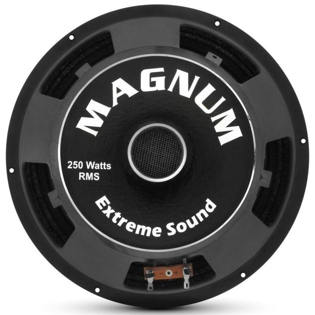 Woofer Magnum Profissional 10 Polegadas 250W RMS 4 Ohms Bobina Simples